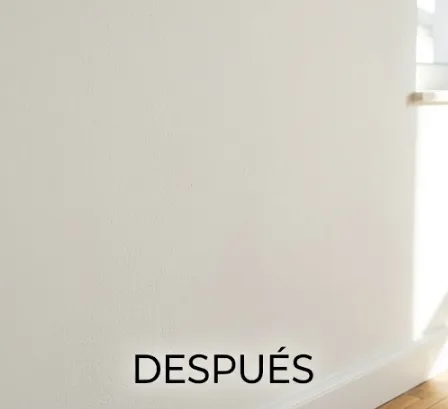 La misma pared limpia y seca, sin manchas